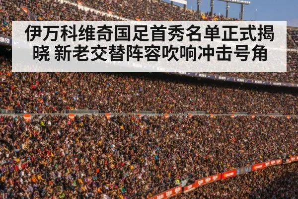 football stadium crowd