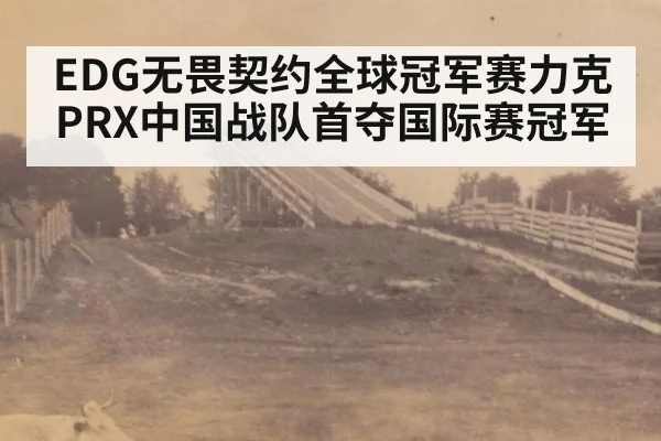 EDG无畏契约全球冠军赛力克PRX中国战队首夺国际赛冠军